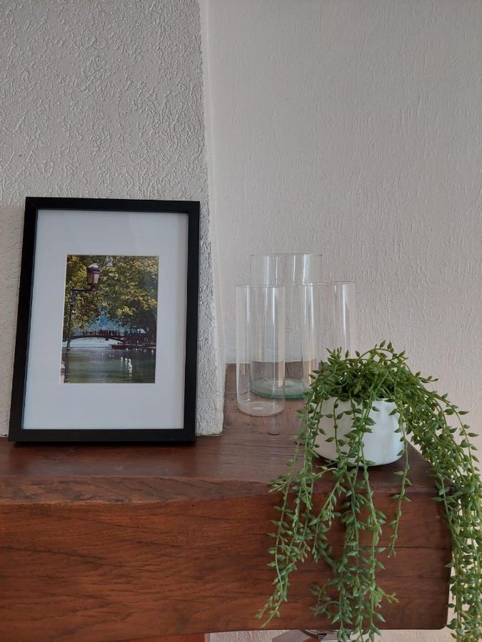 Le Vintage - Appartement En Plein Coeur De La Vieille Ville Annecy Eksteriør billede